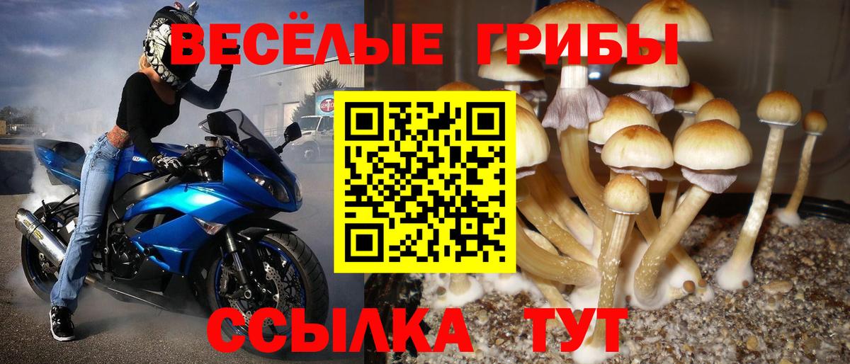 Галлюциногенные грибы Magic Shrooms Пугачёв