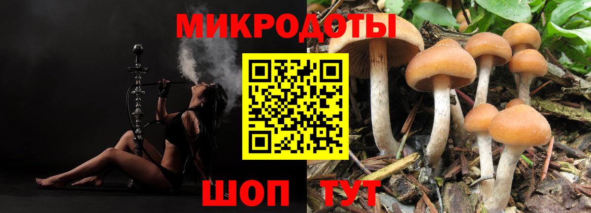 Пугачёв  наркота  Вход с VPN  Псилоцибиновые грибы мухоморы 